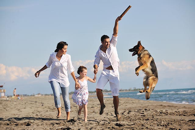 happy young family in white clothing have fun and play with beautiful dog at vacations on beautiful beach