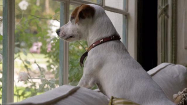 video-undefined-25A8AF4200000578-910_637x359