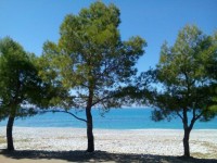 13288402_10154255969928817_346177270_o