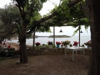 13313468_10154258736148817_190487340_o