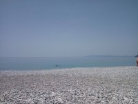 13321070_10154255942118817_336440031_o