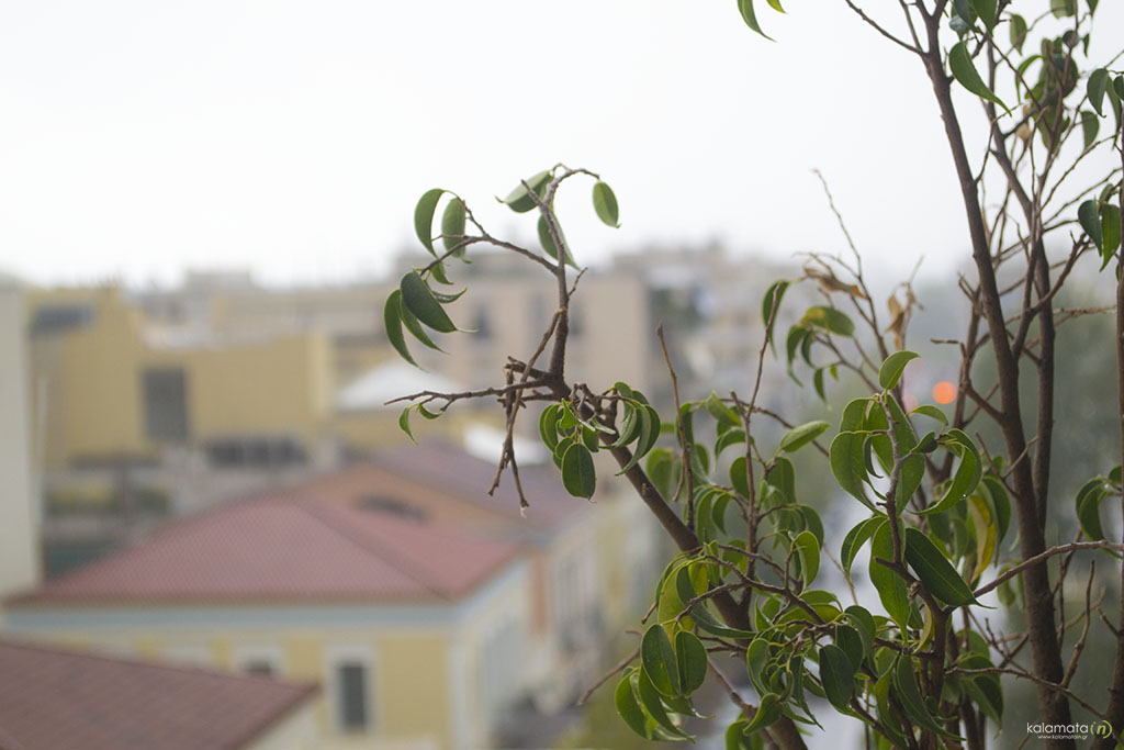 kalamata-winter-balcony