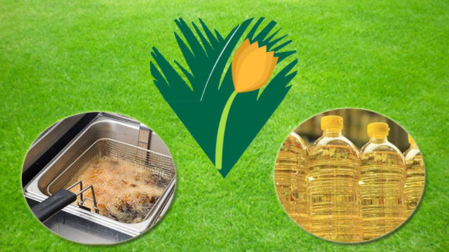 μαγειρικά έλαια