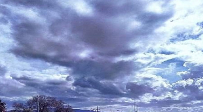 Best #kalamata of the day 10/02/20