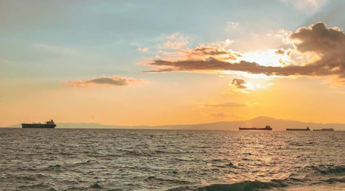 Best #kalamata of the day 28/02/20