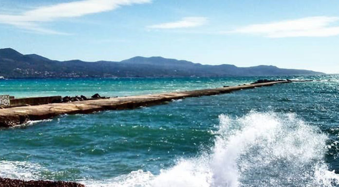 Best #kalamata of the day 05/03/20
