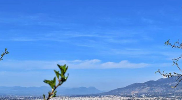 Best #kalamata of the day 06/03/20