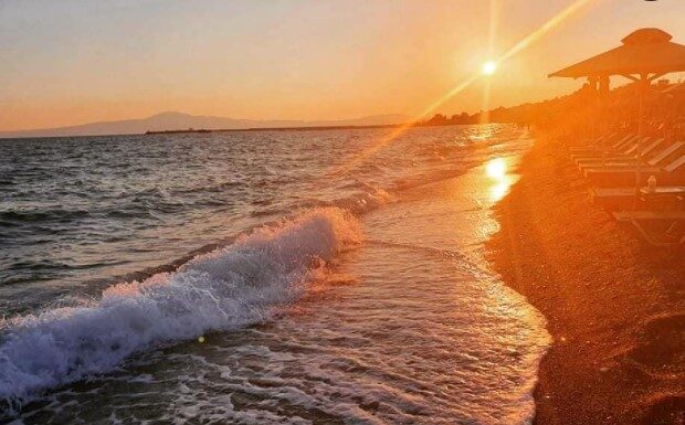Best #kalamata of the day 29/08/20