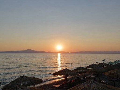 Best #kalamata of the day 2/09/20