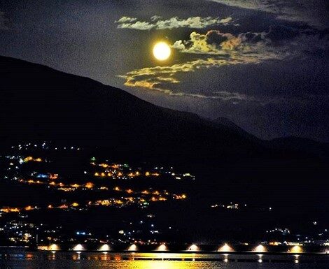 Best #kalamata of the day 1/09/20
