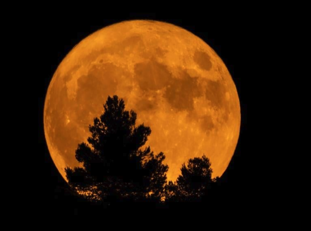 πανσεληνος αυγουστου